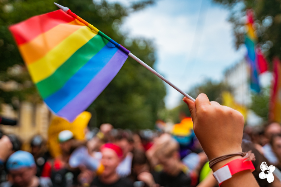 Hand mit Regenbogenflagge zum Pride Month