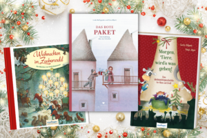Drei Weihnachtsbuchtipps_Cover1