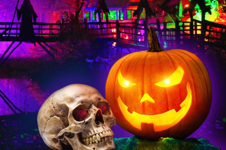 Halloween ZOOM Erlebniswelt