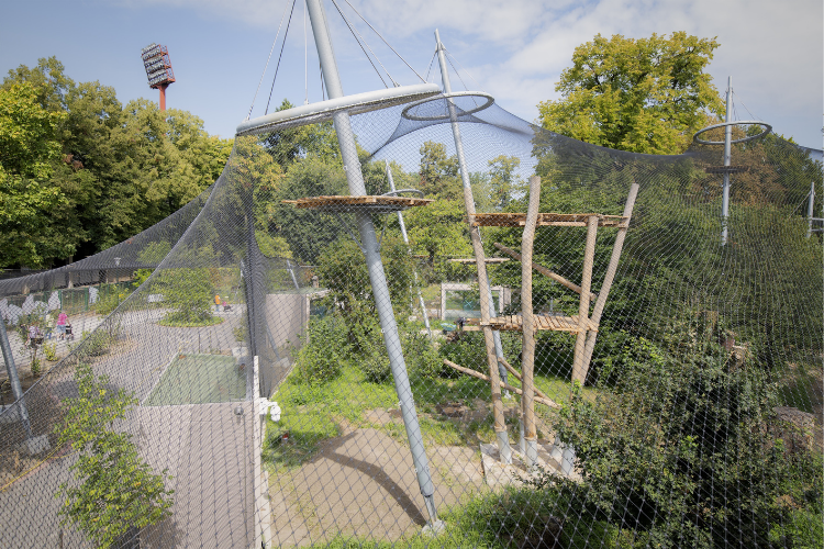 Zoo Krefeld Menschenaffenwald