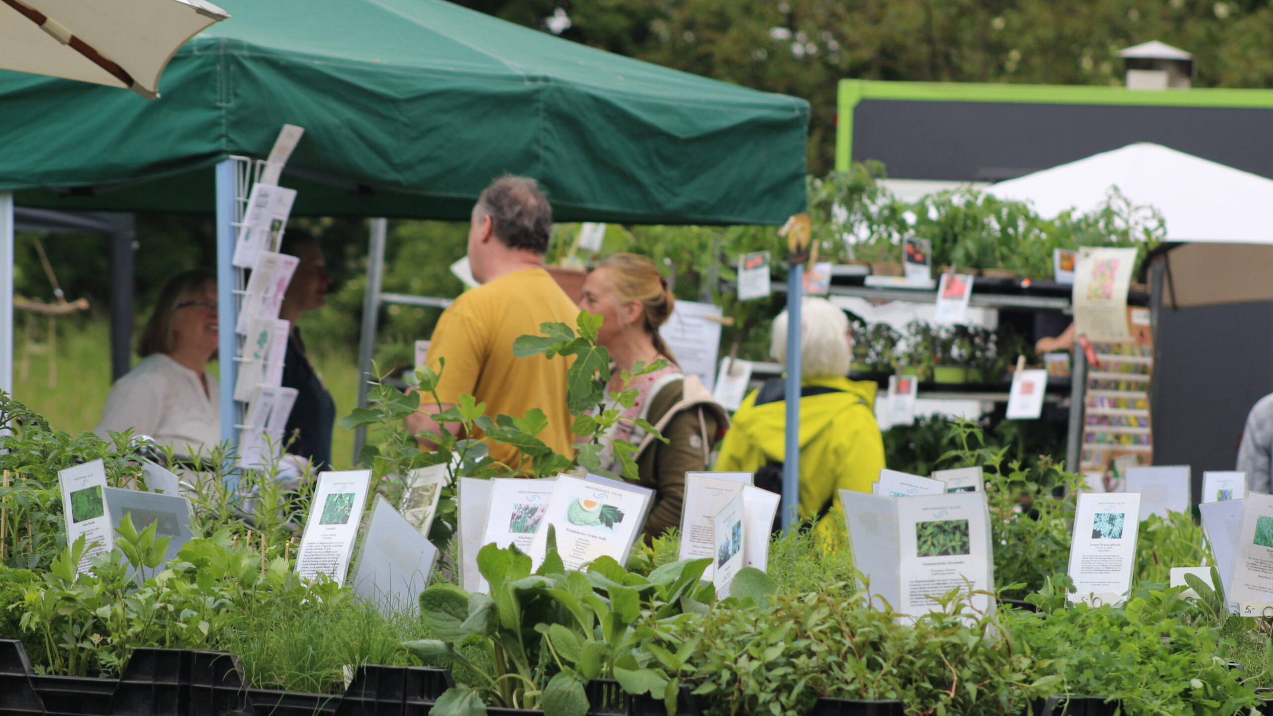 NaturGartenTag 2026 Haus Ripshorst Oberhausen