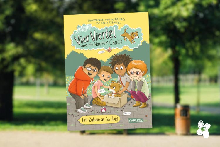 Kinderbuch Vier Vierten und ein Haufen Chaos