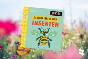 Kinderbuchtipp 50 Wörter über die Natur "Insekten"